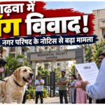 झारखंड के गढ़वा में खूनी कुत्तों का दंगल! जर्मन शेफर्ड-लैब्राडोर पर छिड़ी जंग, मामला सीधे मुख्य सचिव तक पहुँचा